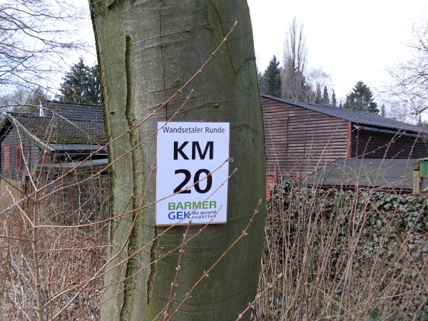 Wandsetal Volkslauf 148